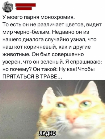 Мэмы. 3 часть 