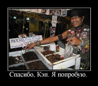 Демотиваторы, которые сделали мой день