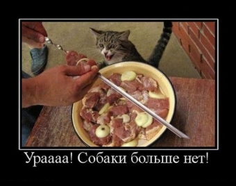 Я за зиму, забыл, отвык, как вкусный выглядит шашлык.