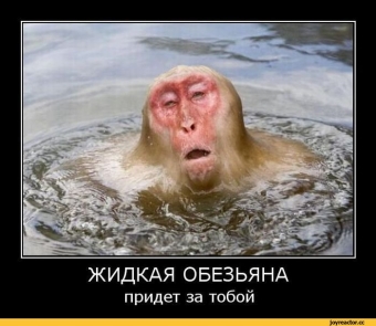 Осторожно, обезьянки - смешные демотиваторы про обезьян