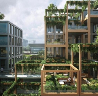 Несколько случаев, когда растения подчеркнули дизайн здания 
