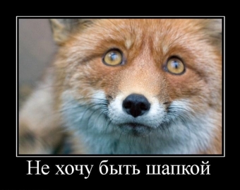 Демотиватор о лисьих проделок
