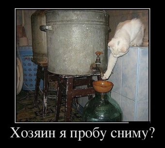 Это он, это он, мутный крепкий самогон.