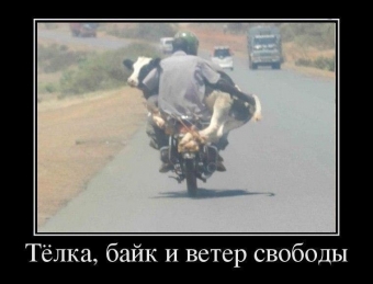 Дорога, дорога, похожа на друга. Мото демотиваторы.