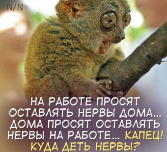 Куда девать нервы?