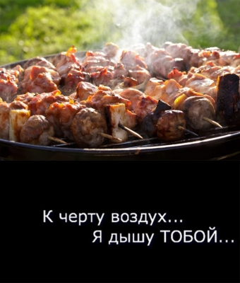 Я за зиму, забыл, отвык, как вкусный выглядит шашлык.