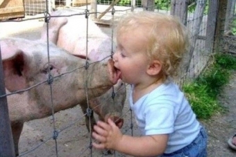 Что еще может вызывать искренний смех, как не дети с животными!
