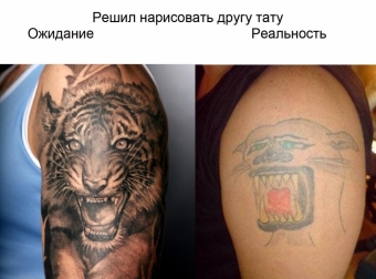 Сладкие ожидания и горькая реальность