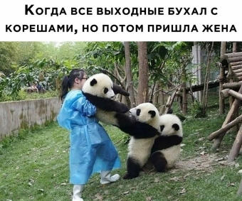 Шуточки и мемы для вас. 11 часть