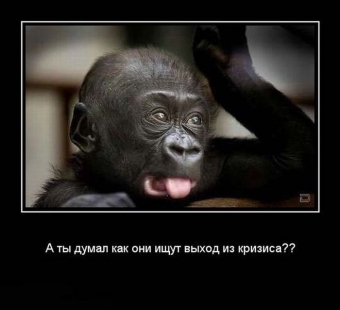 Осторожно, обезьянки - смешные демотиваторы про обезьян