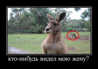 Юмор про жену до слёз! Вы будете валяться от смеха!