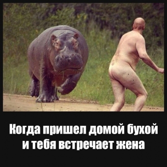 Юмор про жену до слёз! Вы будете валяться от смеха!