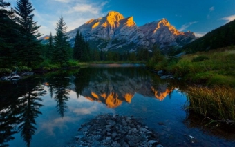 Природа как она есть