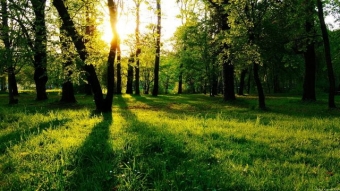 Природа как она есть