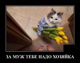 Ржачная подборка демотиваторов