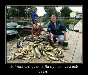 Демотиваторы про рыбака и рыбку.