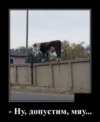 Улыбок и хорошего настроения, подборка прикольных демотиваторов