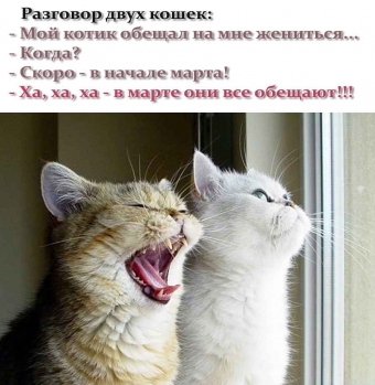 Понемногу обо всем, о веселом и смешном