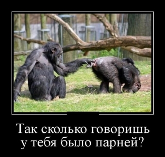 Осторожно, обезьянки - смешные демотиваторы про обезьян