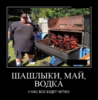 Я за зиму, забыл, отвык, как вкусный выглядит шашлык.