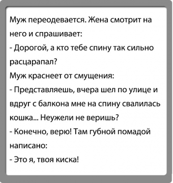 Муж и жена, одна сатана, анекдоты про семейную жизнь