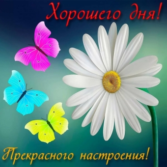 Открытки с пожеланиями с прекрасным днем и настроением