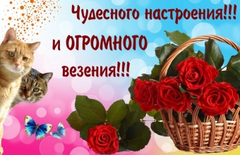 Открытки с пожеланиями с прекрасным днем и настроением