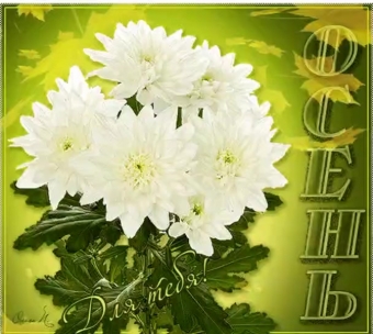 Открытки с осенним букетом
