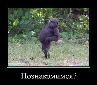 Осторожно, обезьянки - смешные демотиваторы про обезьян