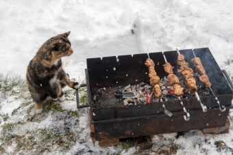 Я за зиму, забыл, отвык, как вкусный выглядит шашлык.