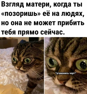 Мэмы. 3 часть 