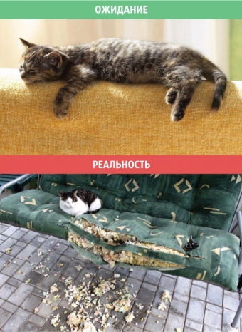 Бывает что чудо ты ожидаешь, но только, реальность об этом не знает