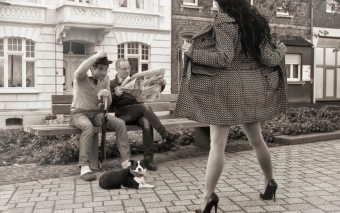 Смешные картинки, подборка фотографий для настроения