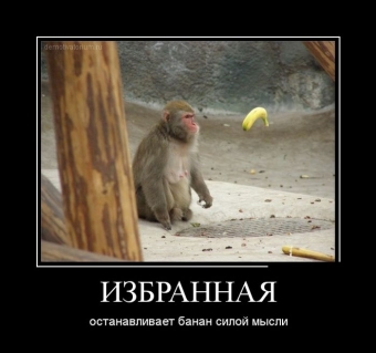 Осторожно, обезьянки - смешные демотиваторы про обезьян