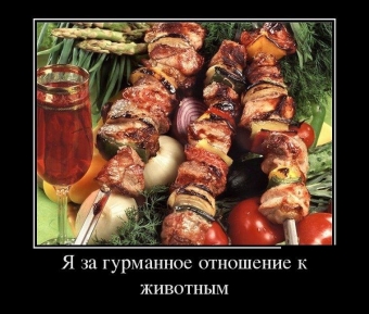 Я за зиму, забыл, отвык, как вкусный выглядит шашлык.