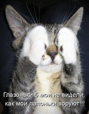 Cмешные картинки про самых разных зверей и животных