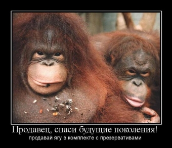 Осторожно, обезьянки - смешные демотиваторы про обезьян