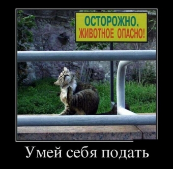 Улыбок и хорошего настроения, подборка прикольных демотиваторов