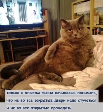 Понемногу обо всем, о веселом и смешном