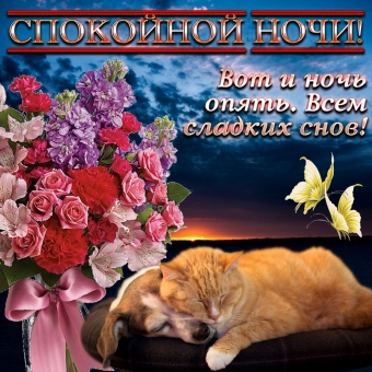 Спокойной ночи открытки - пожелания