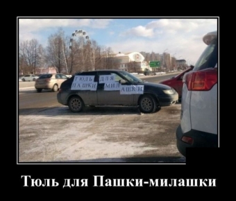 Демотиваторы про горе водителей 