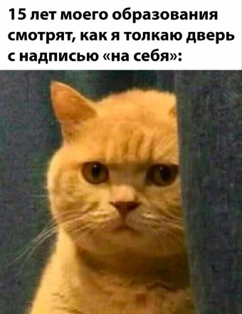 Какие-то мемы. 1 часть 
