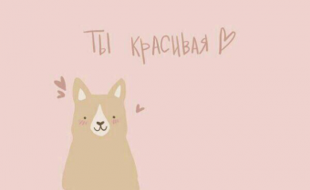 Шикарные цитаты