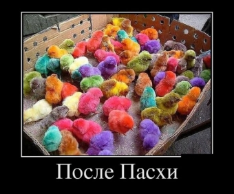 Демотиватор прикольные о пасхе