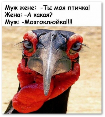 Юмор про жену до слёз! Вы будете валяться от смеха!