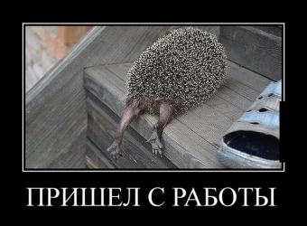 Улыбок и хорошего настроения, подборка прикольных демотиваторов