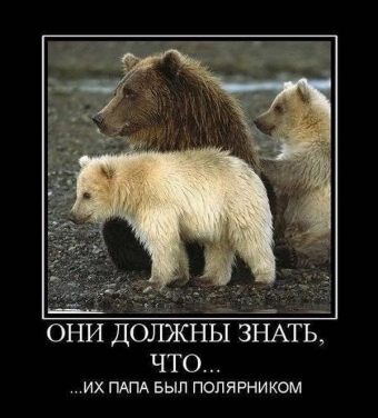 Смешные и прикольные, животные и звери 