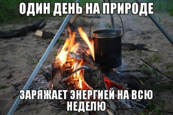 Я за зиму, забыл, отвык, как вкусный выглядит шашлык.