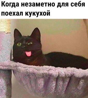 Какие-то мемы. 2 часть 