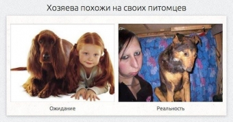 Бывает что чудо ты ожидаешь, но только, реальность об этом не знает